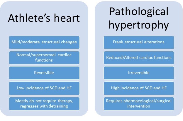 pathological hypertrophy definition